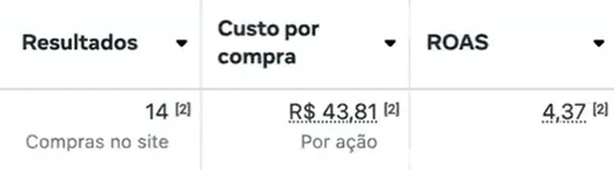 Totais no Gerenciador: 14 compras, custo por compra R$ 43,81, ROAS 4,37